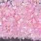 Magnetic Shell Stone Pink - My Beauty Boutique