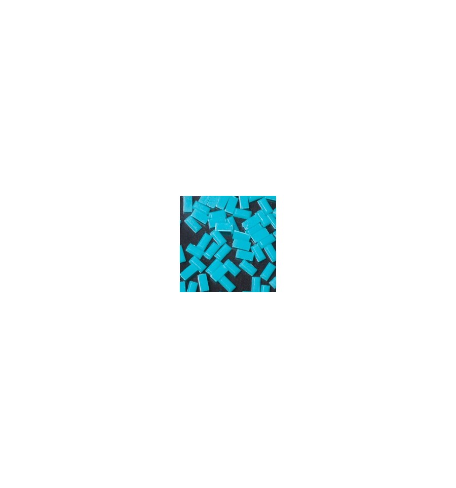 Magnetic Rectangle Turquoise 100 pcs - My Beauty Boutique