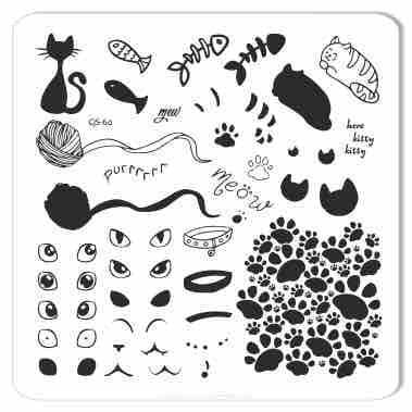 Clear Jelly Stamper Plate Small - Meow (CjS-60) - My Beauty Boutique