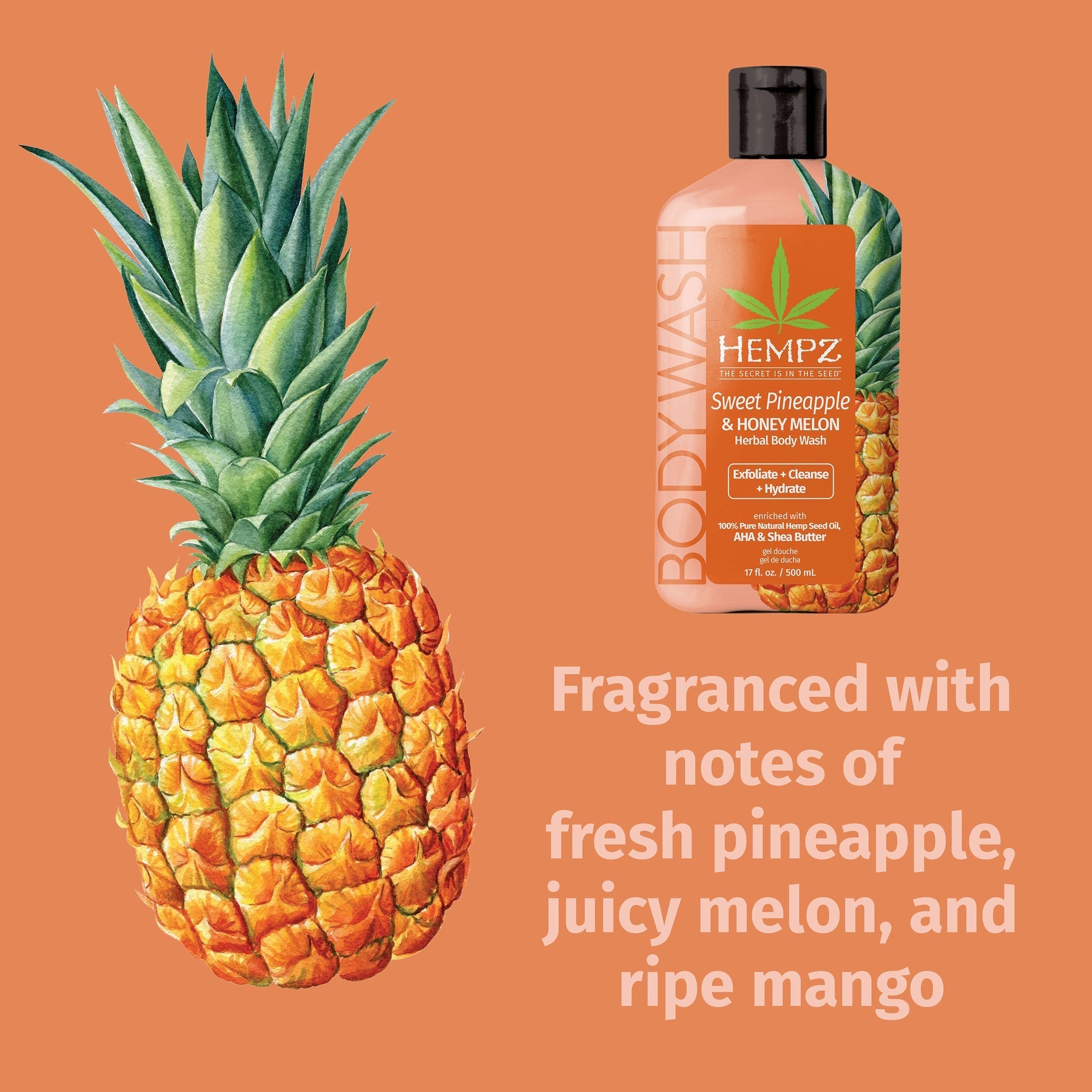 Hempz - Sweet Pineapple & Honey Melon Herbal Body Wash - My Beauty Boutique