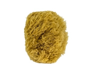 Urban Spa All Natural Sea Sponge - My Beauty Boutique