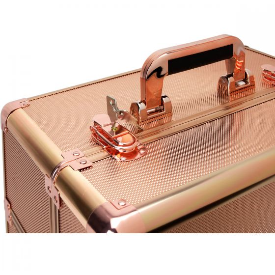 VER Beauty - Rose Gold Dot Pro Case - My Beauty Boutique